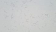 Carrara Shimmer
